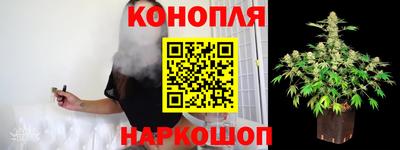 шишки Бузулук