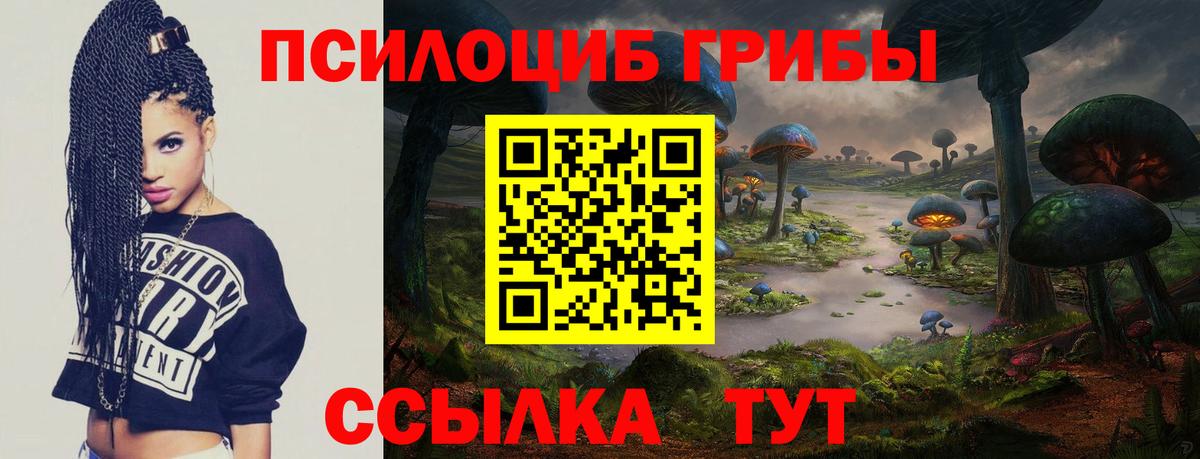 Галлюциногенные грибы Psilocybine cubensis Сертолово